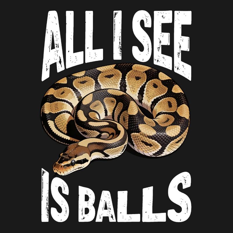Python roi Serpents Amateurs de terrarium Python