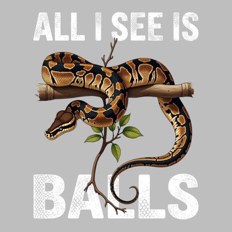 Python roi Serpents Amateurs de terrarium Python