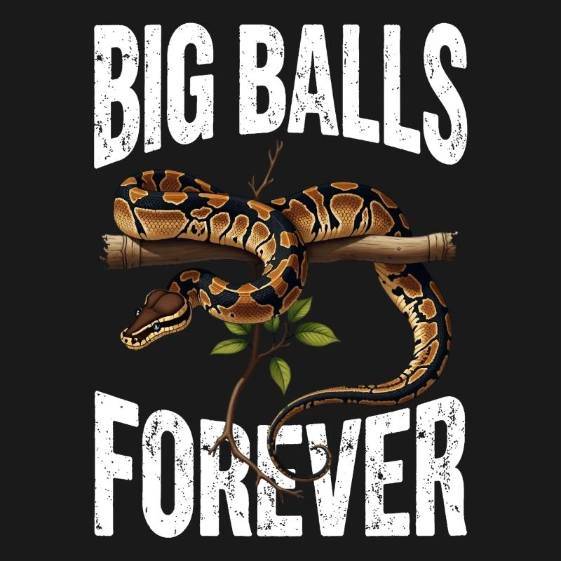 Python roi Serpents Amateurs de terrarium Python