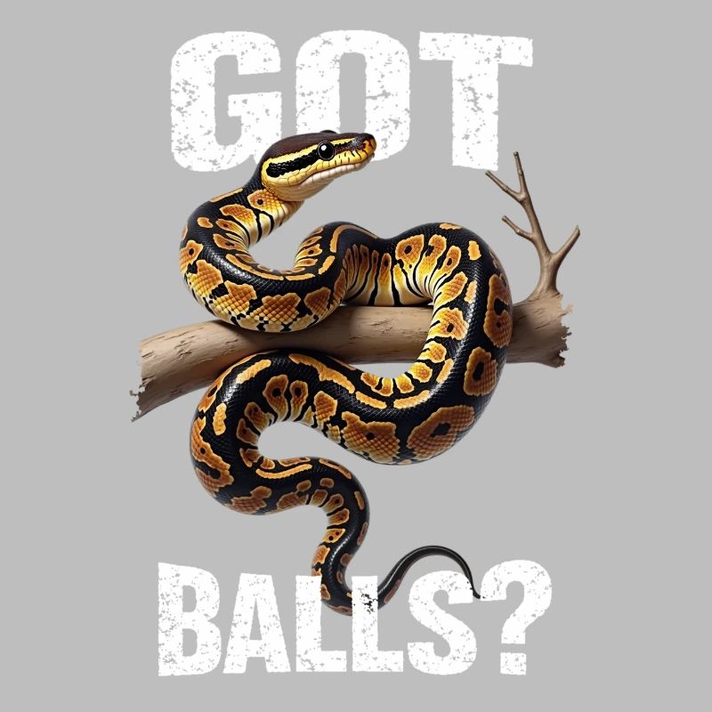 Python roi Serpents Amateurs de terrarium Python