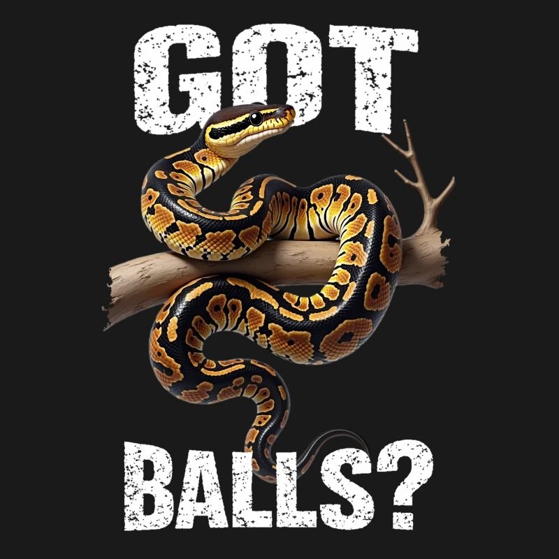 Python roi Serpents Amateurs de terrarium Python