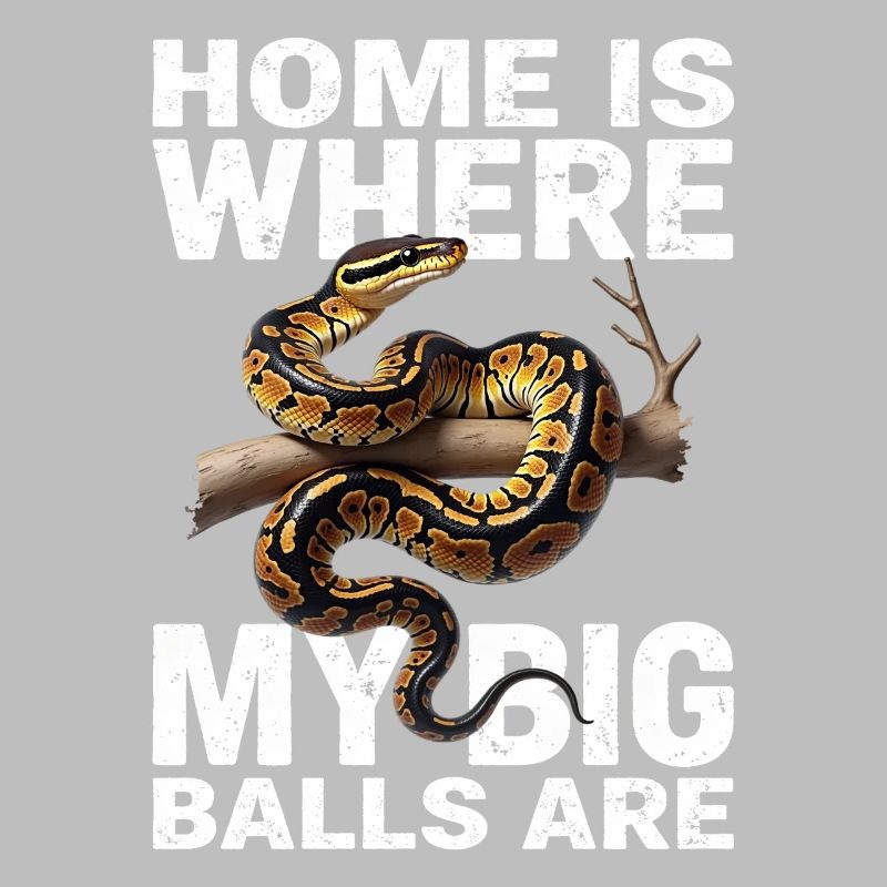 Python roi Serpents Amateurs de terrarium Python