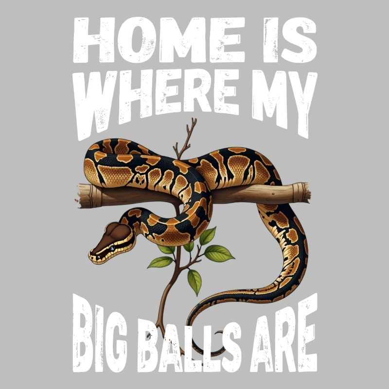 Python roi Serpents Amateurs de terrarium Python