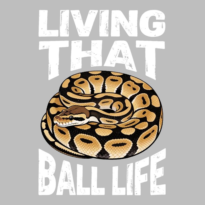 Python roi Serpents Amateurs de terrarium Python