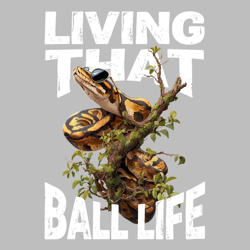 Python roi Serpents Amateurs de terrarium Python