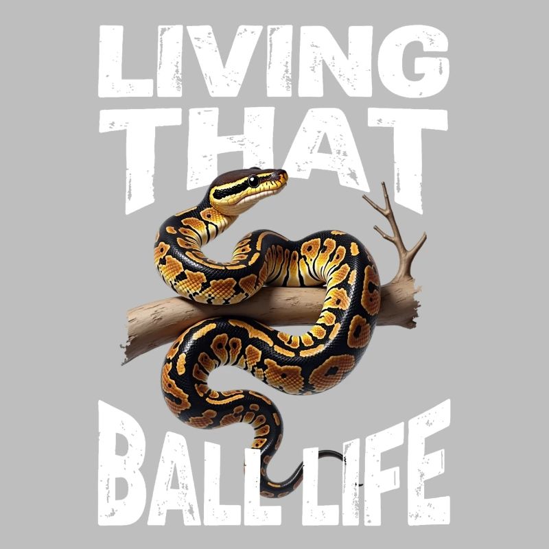 Python roi Serpents Amateurs de terrarium Python