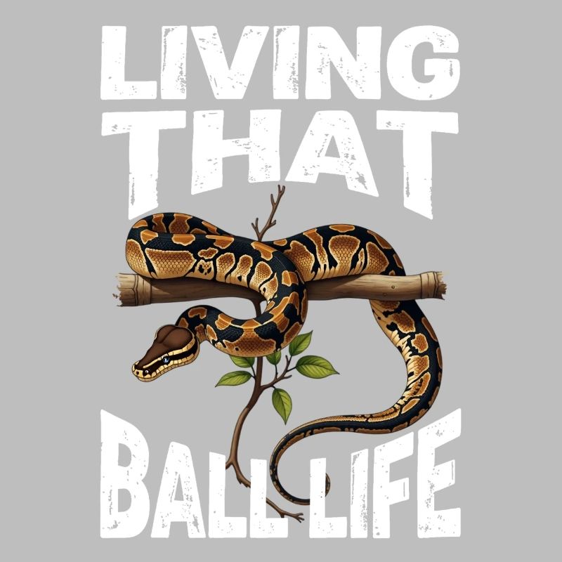 Python roi Serpents Amateurs de terrarium Python