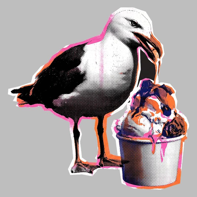 Möwe Isst Eis