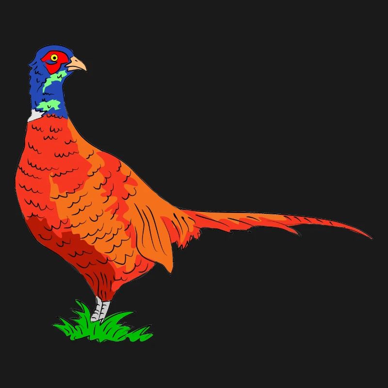 pheasant