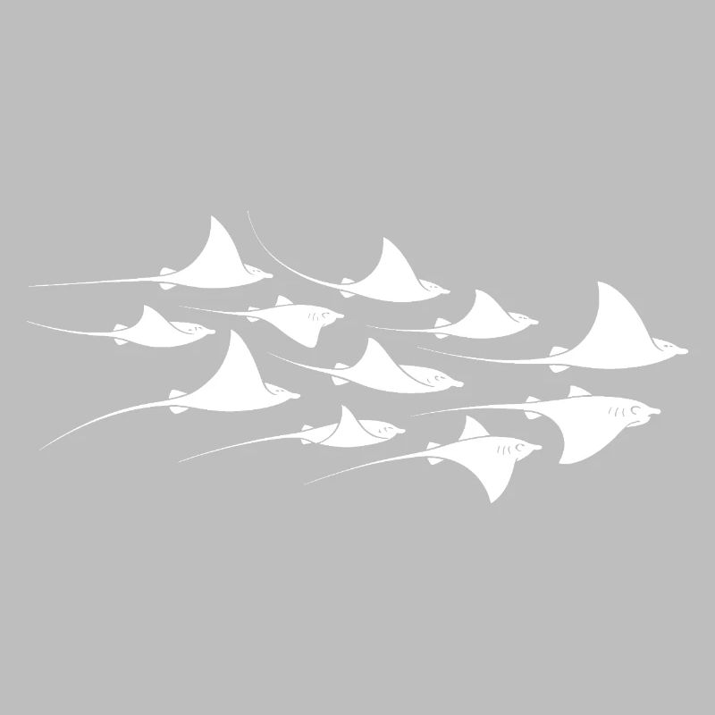 Manta Ray, Devil Ray, Stingray, Diver