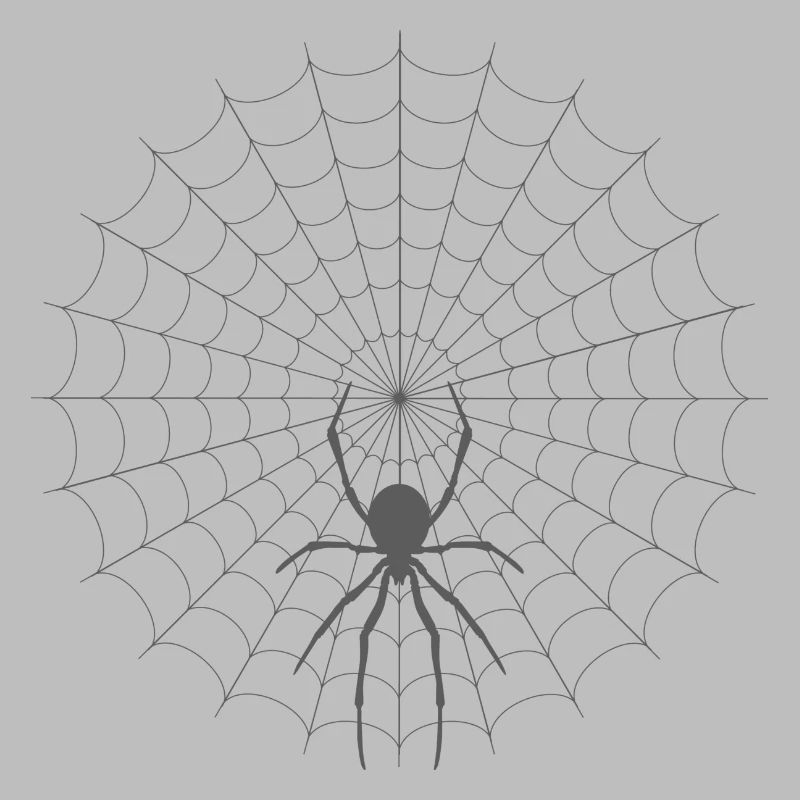 Spider Web Silhouette