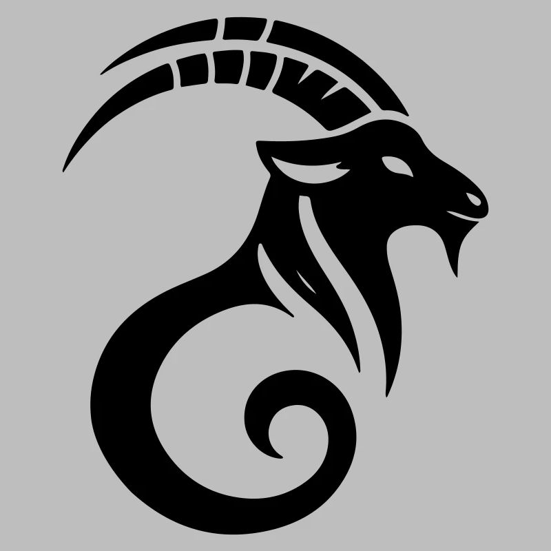 Capricorne 2