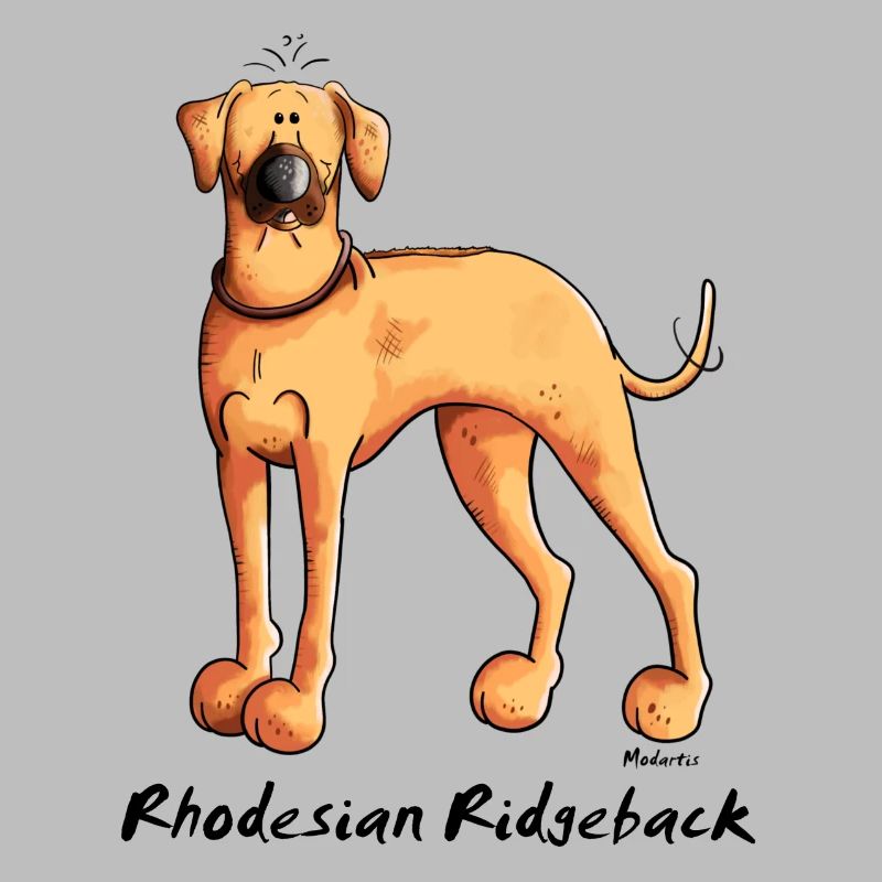 Cute Rhodesian Ridgeback