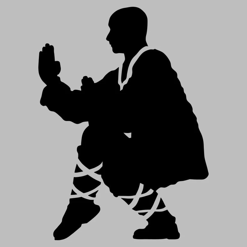 Kung fu Shaolin