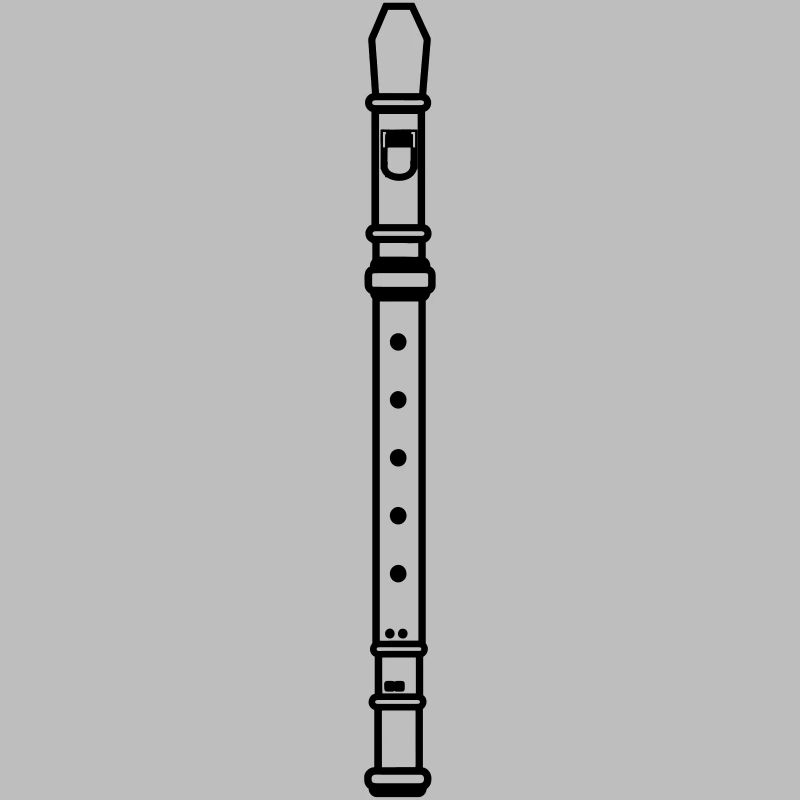 Recorder shadow