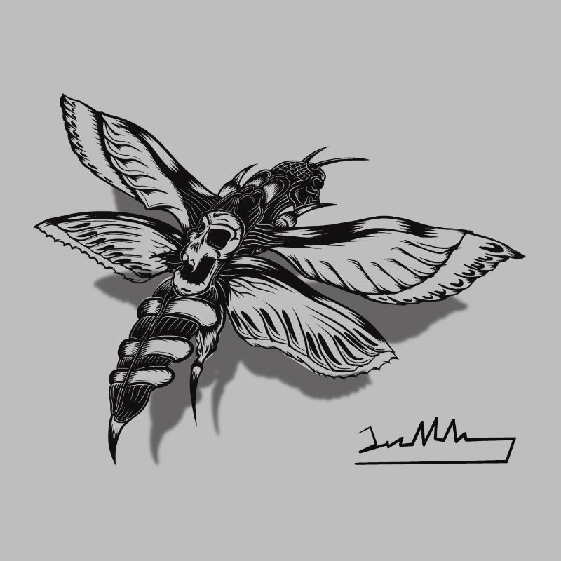 Moth