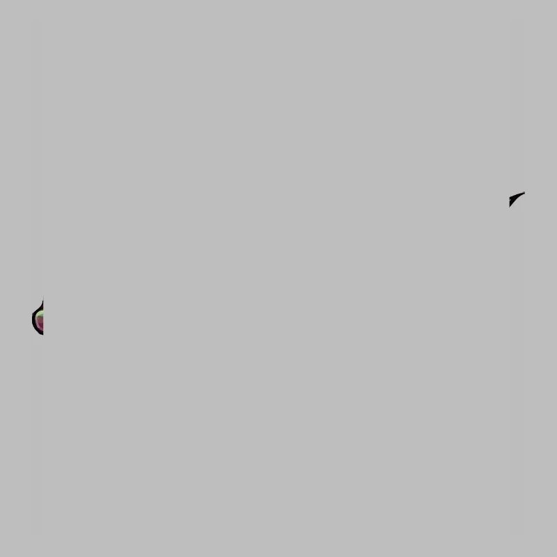 Rainbow Fish with Pattern