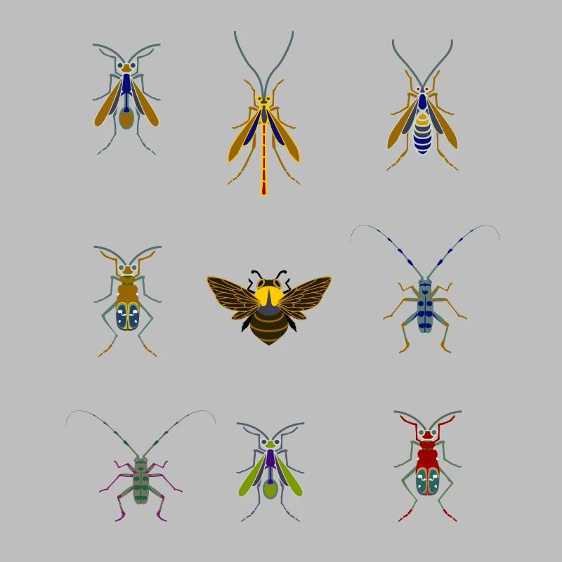 insects mosquitoes bee sting overview fly bug