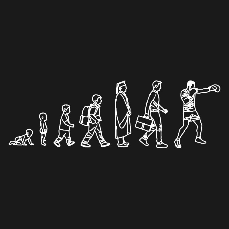 Évolution du Boxer