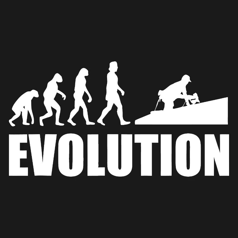Evolution to Innovation