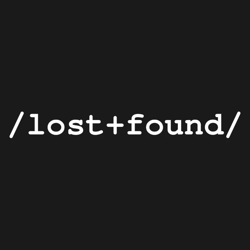 Lost+Found - Ordner /lost+found/