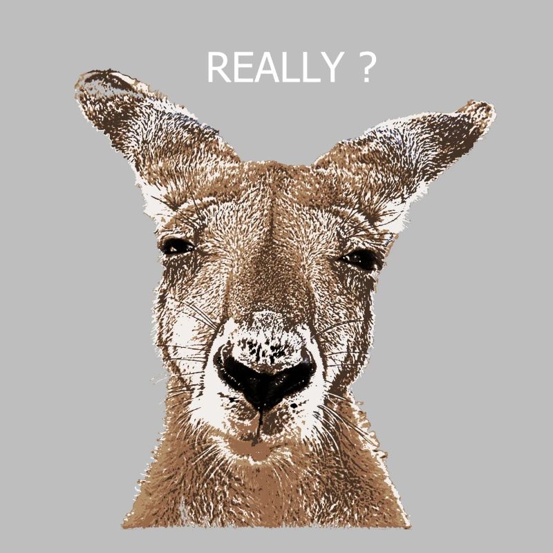Kangaroo really?