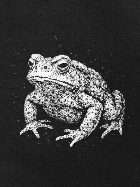 Toad
