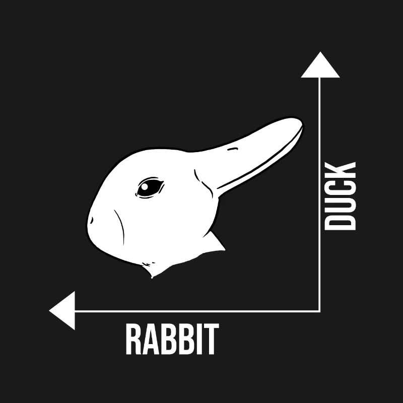 Bunny duck illusion optical illusion