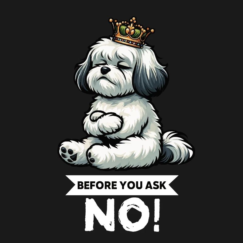 Avant de demander Havanese Havanese Keepers Havanese