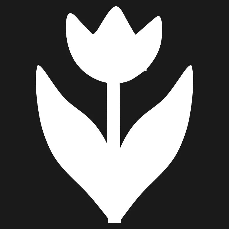 Fleur Blanche Fleur Tulipe Blanche
