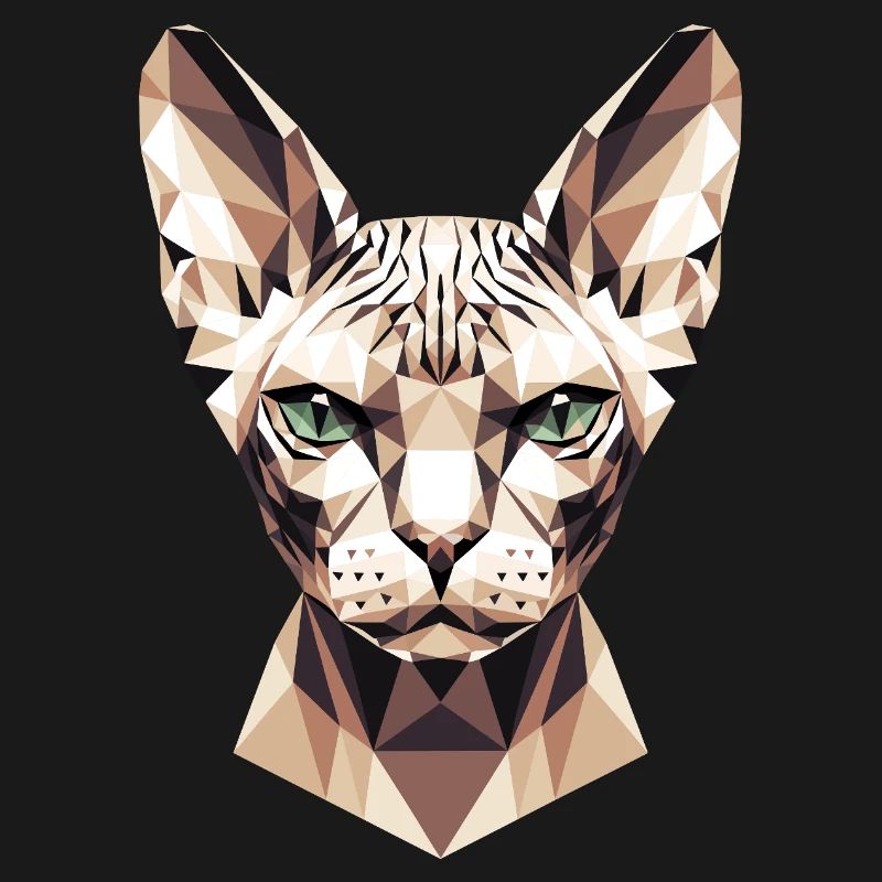 Sphynx Chat Sphynx Chat Chat Canadien Sphinx mignon