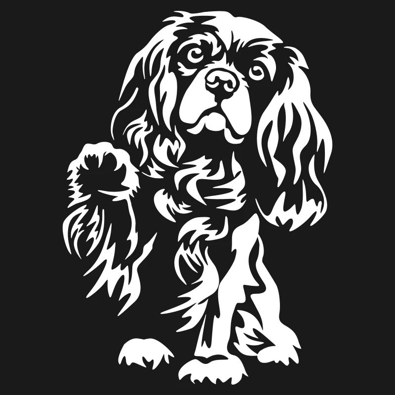 Cavalier King Charles Spaniel « Édition noire »