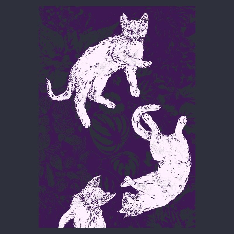 TROIS CHATONS BLANCS