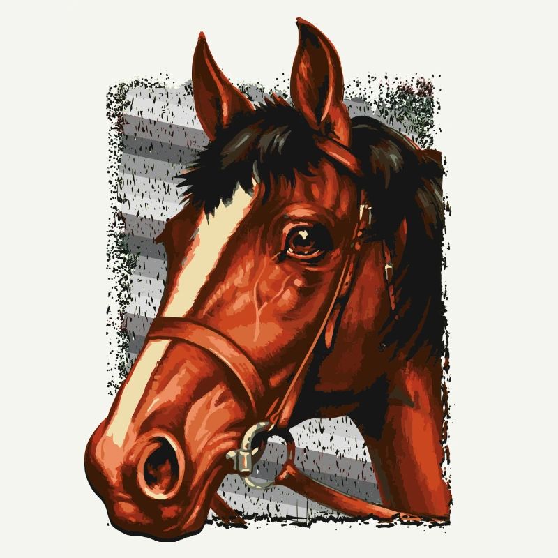 Tête de cheval rétro - cavalier - voltige - cavalier