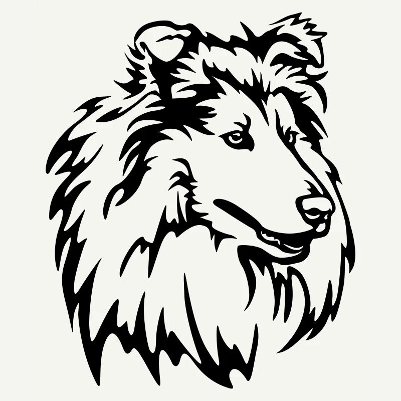 Collie Head