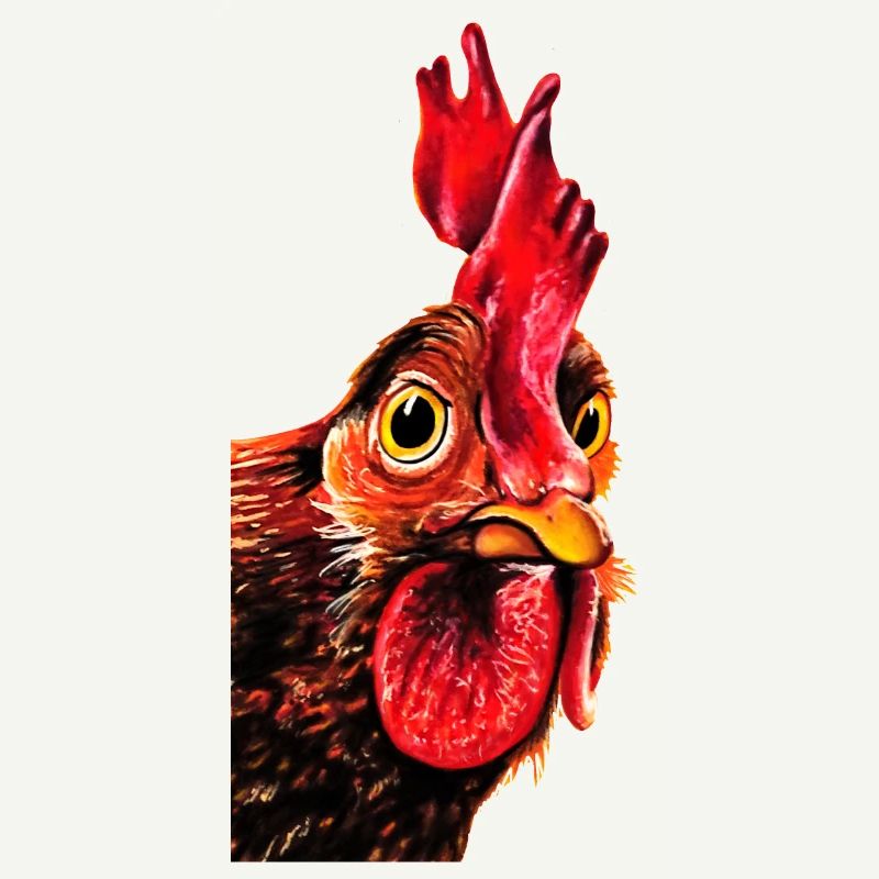 Coq Herbert