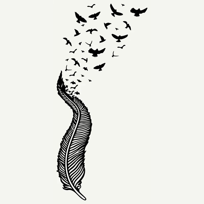 Plume et oiseaux