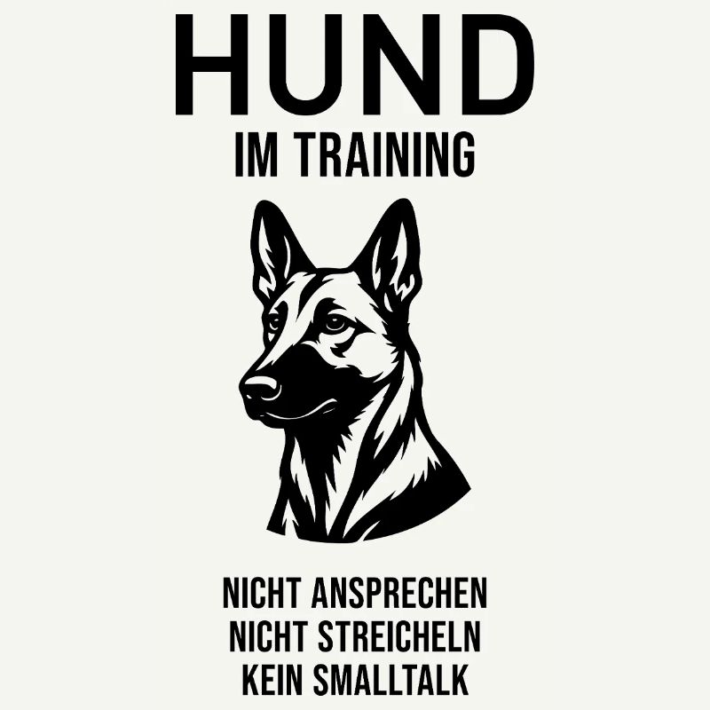 Hund im Training