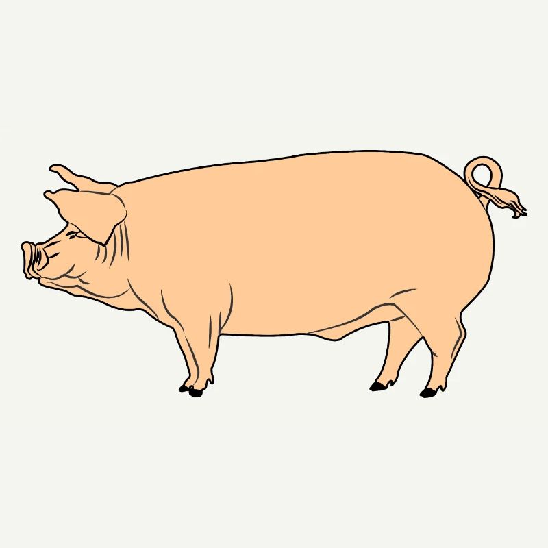 Cochon rose