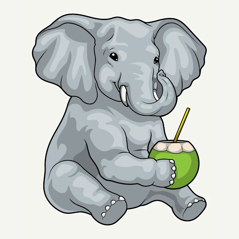 Éléphant Noix de