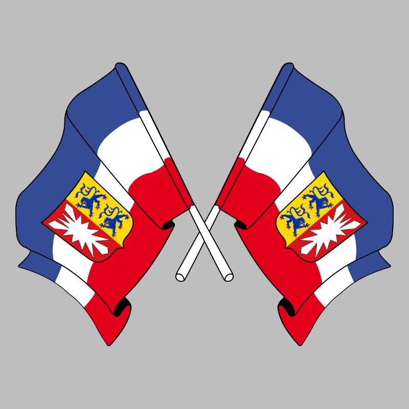 Deux drapeaux Schleswig Holstein