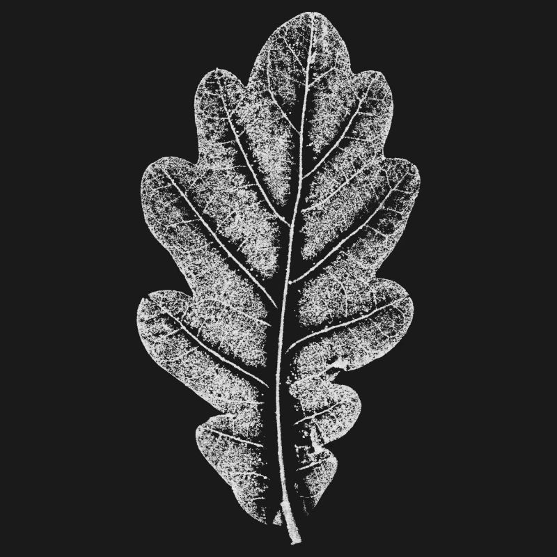 Blatt EICHE / Eichenblatt WEISS