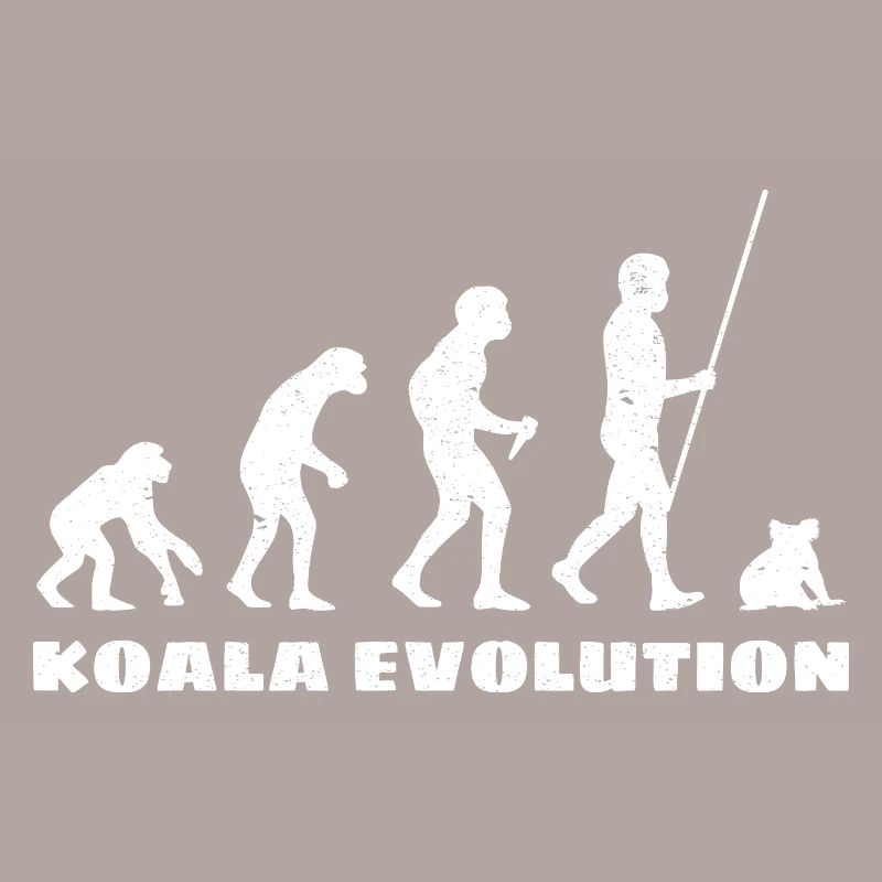 Évolution du koala