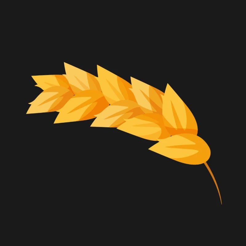 Corn grain corn