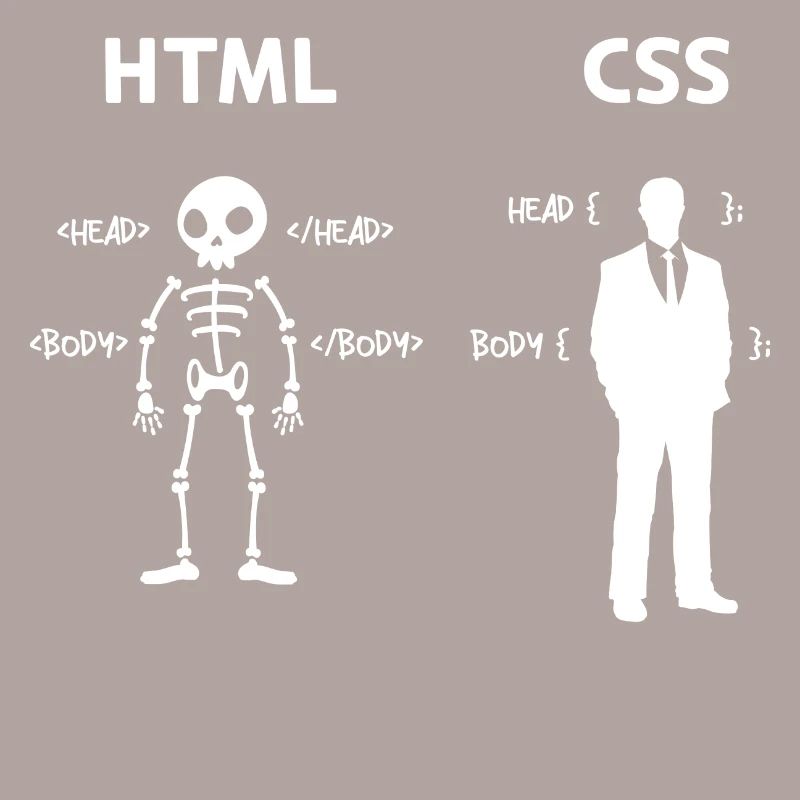 Code Css C++ Php Java Developer Code Skripting