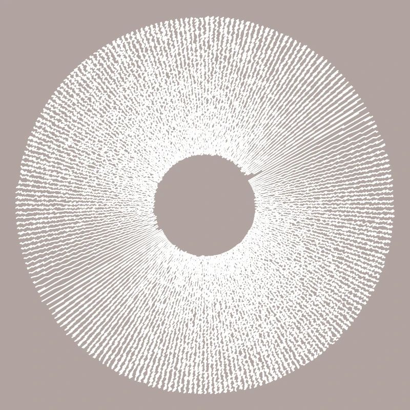 Iris Ringburst Radial Pattern