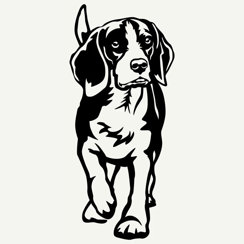 Beagle