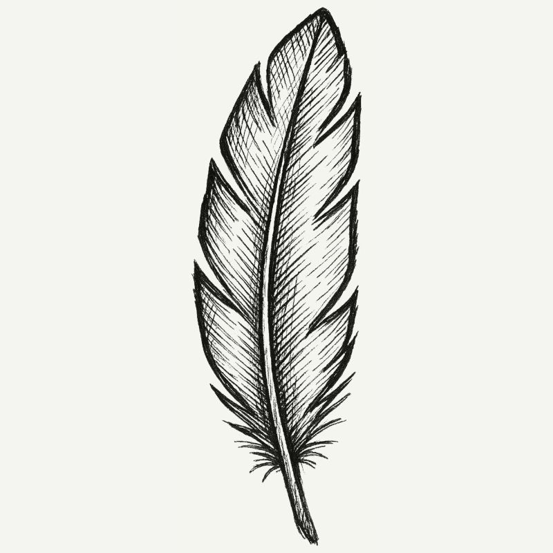 Black glitter feather with texture