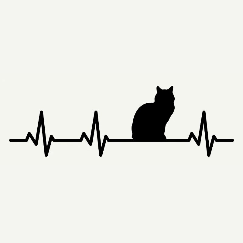 Fréquence cardiaque du chat