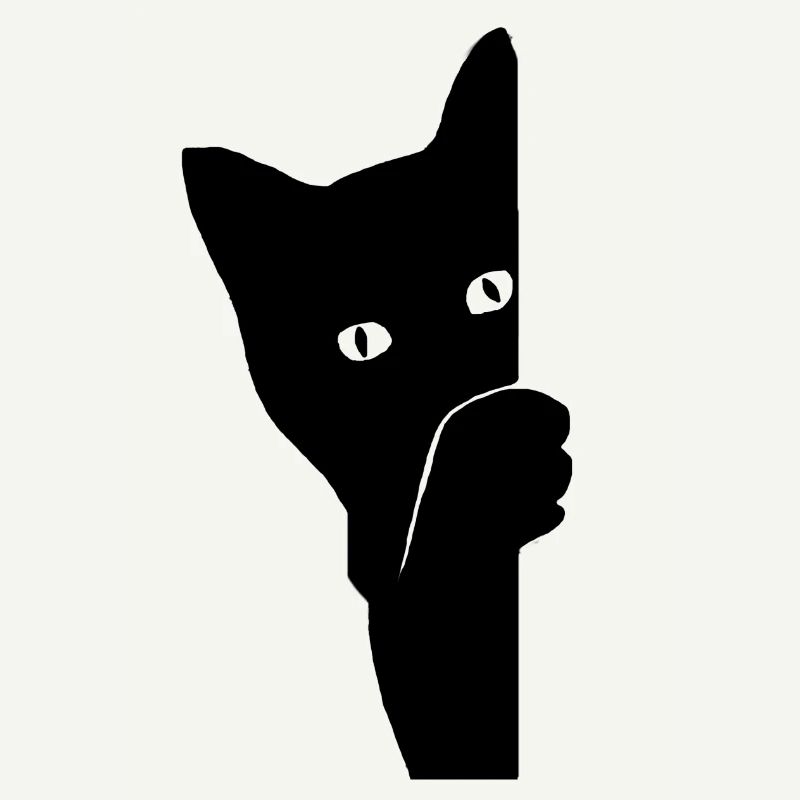 Chat Coucou